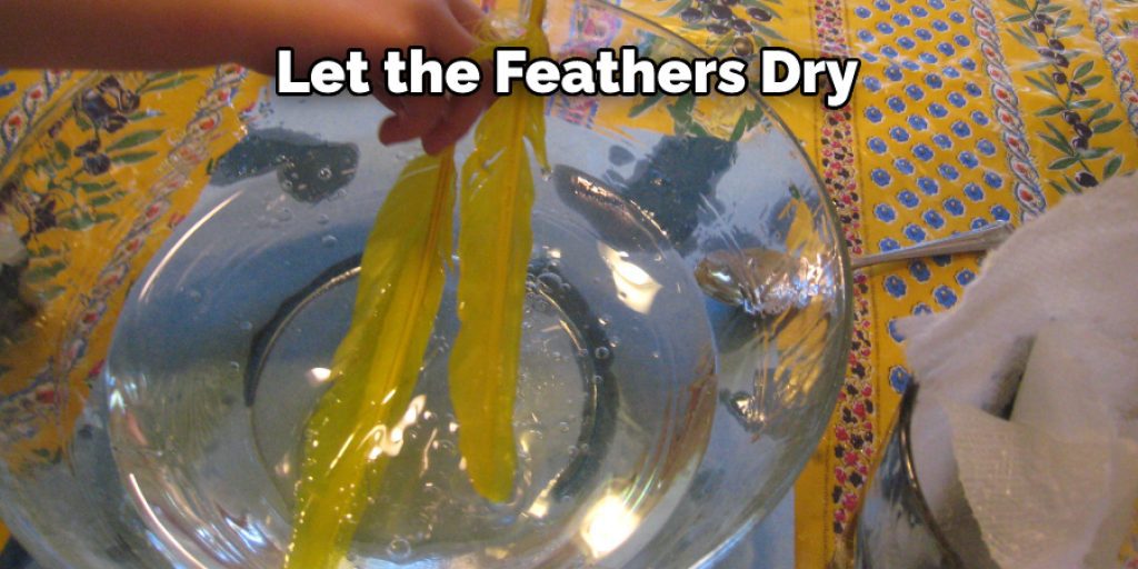 Let the Feathers Dry