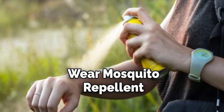 Wear Mosquito Repellent