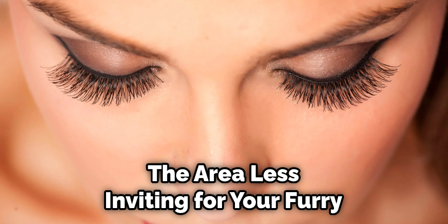 The Area Less Inviting for Your Furry