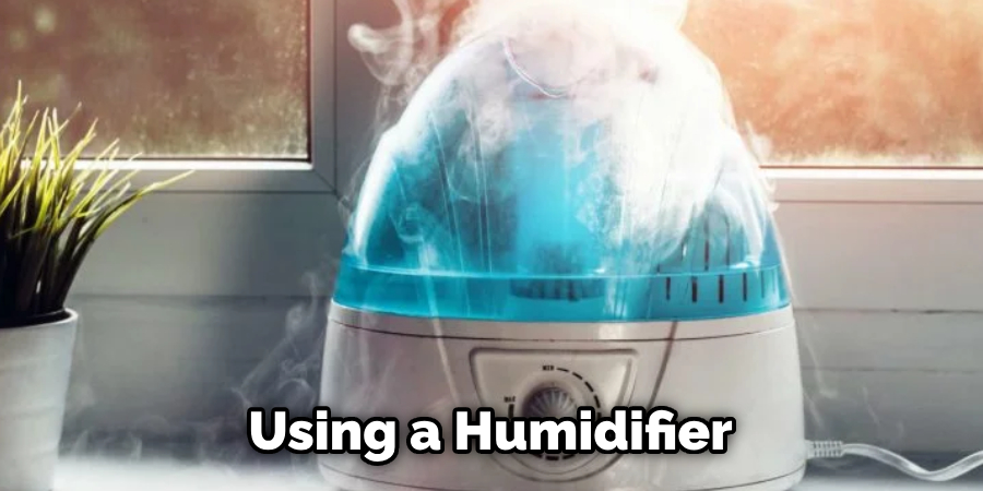 Using a Humidifier