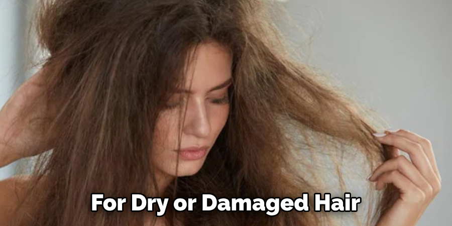 For Dry or Damaged Hair