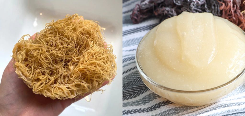 How to Use Sea Moss Gel on Face