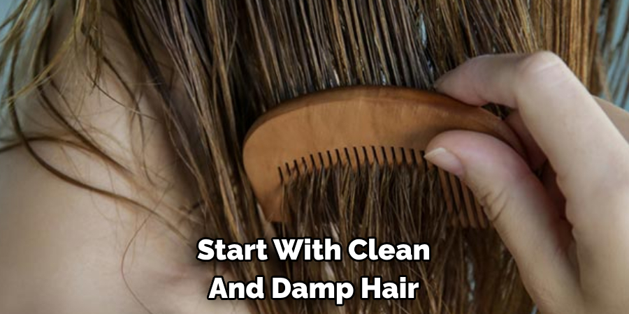 Start With Clean 
And Damp Hair