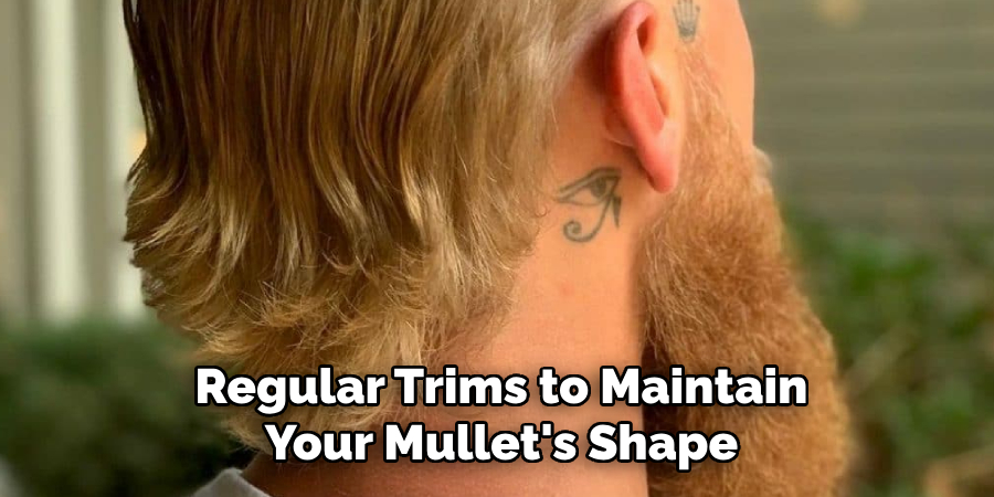 Regular Trims to Maintain Your Mullet's Shape