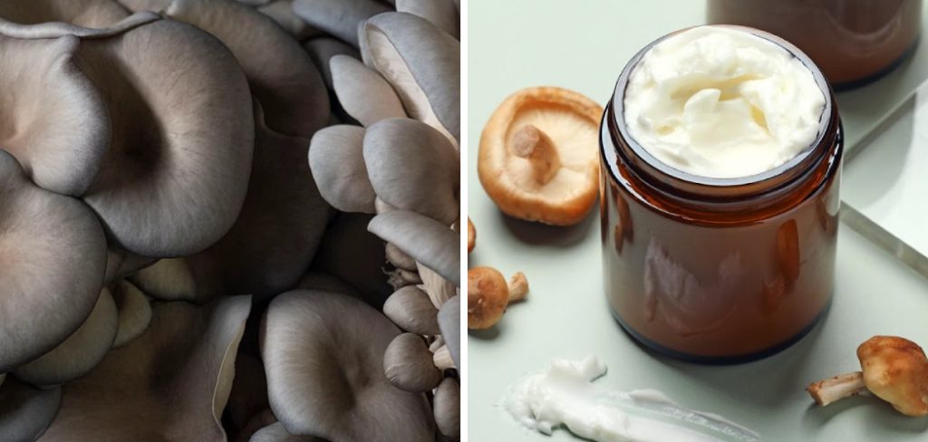 How to Make Mushroom Face Cream