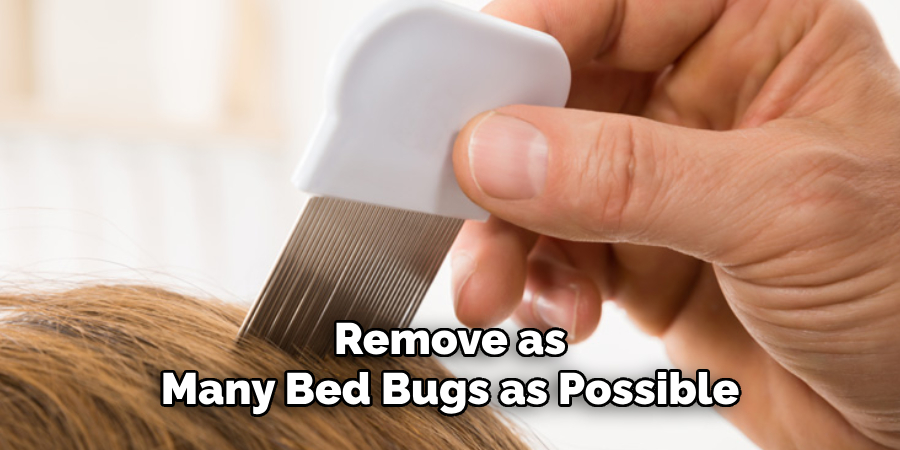 Remove as
Many Bed Bugs as Possible