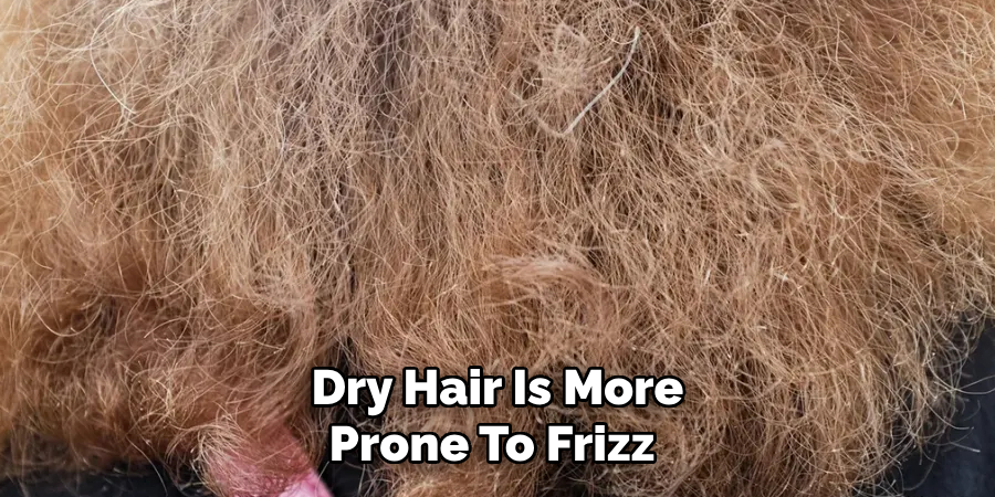 Dry Hair Is More
Prone To Frizz