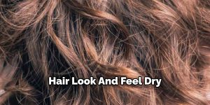 How to Know Your Hair Type Oily or Dry | 10 Easy Steps (2026)