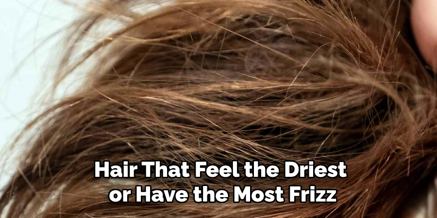 Hair That Feel the Driest
 or Have the Most Frizz