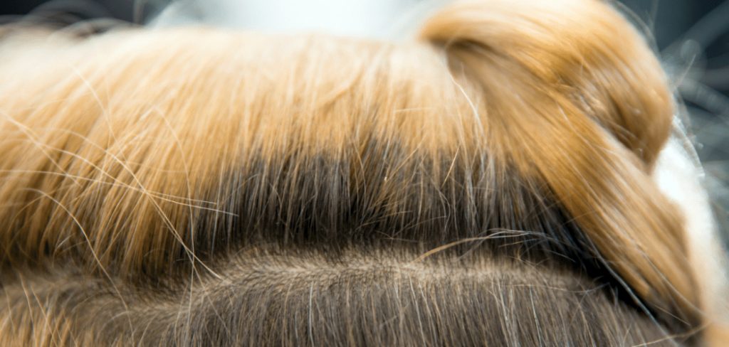 How to Touch Up Roots With Bleach