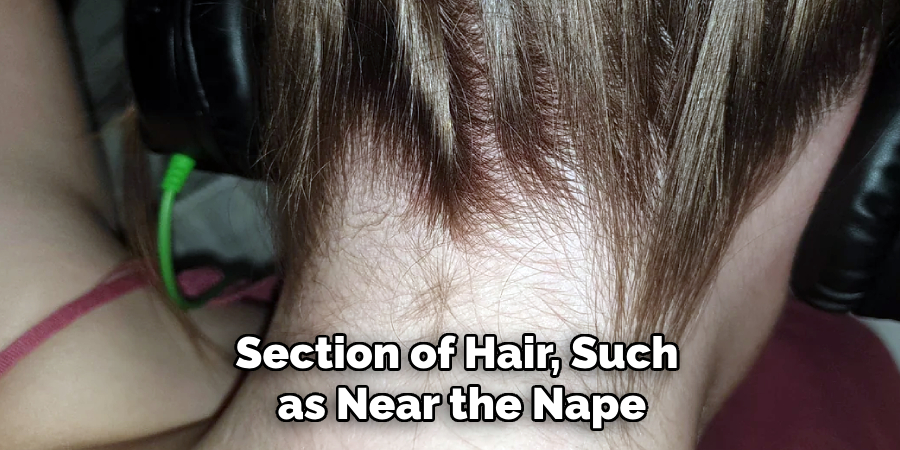 Section of Hair, Such
as Near the Nape