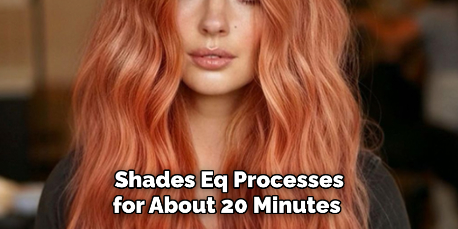 Shades Eq Processes
for About 20 Minutes