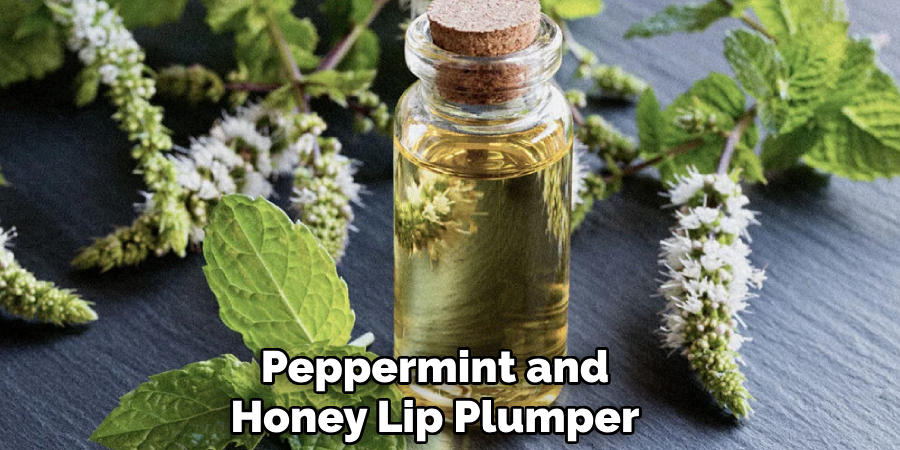 Peppermint and
Honey Lip Plumper