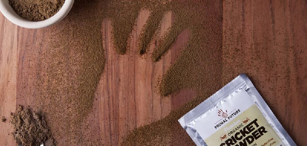 How to Make Protein Powder