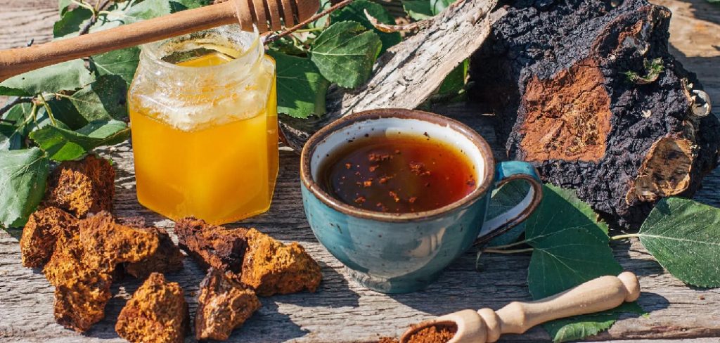 How to Make Reishi Powder