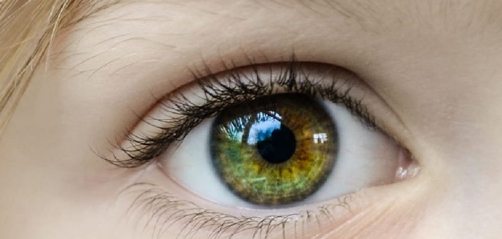 How to Put on Magnetic Eyelashes
