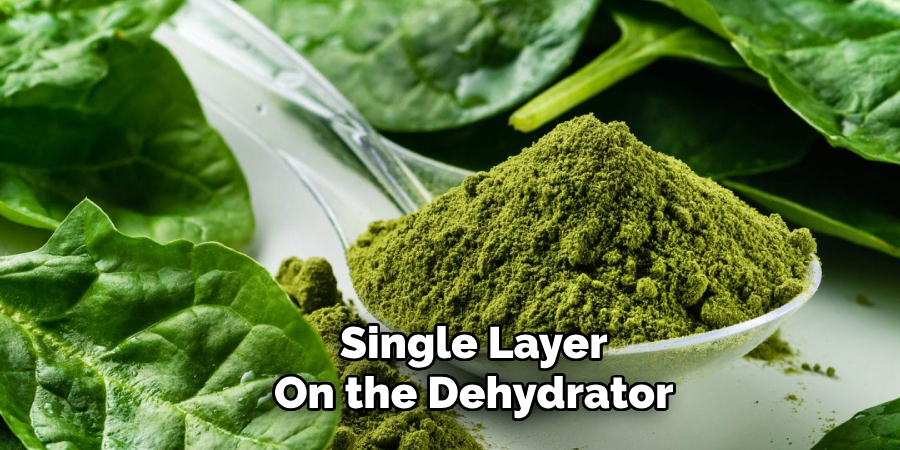 Single Layer
On the Dehydrator