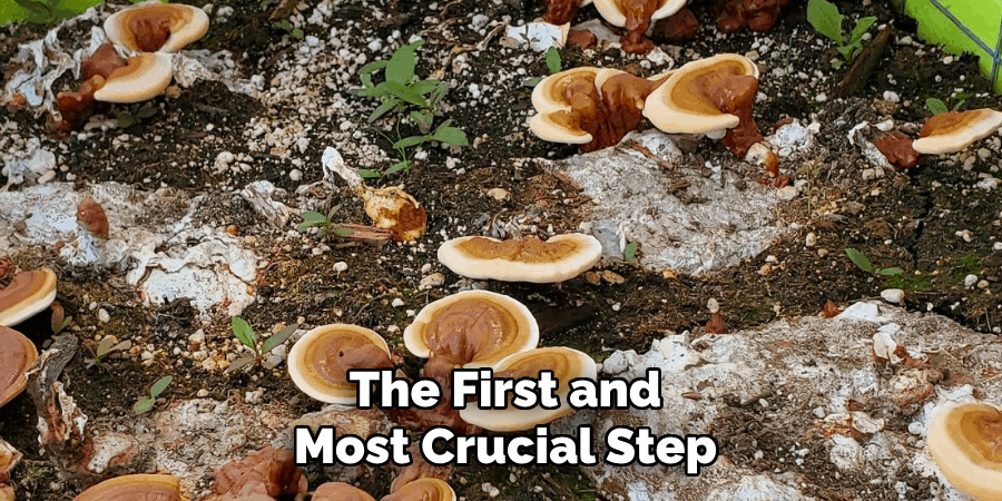 The First and
Most Crucial Step