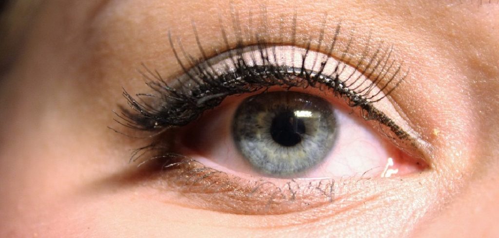 How to Apply Strip Lashes