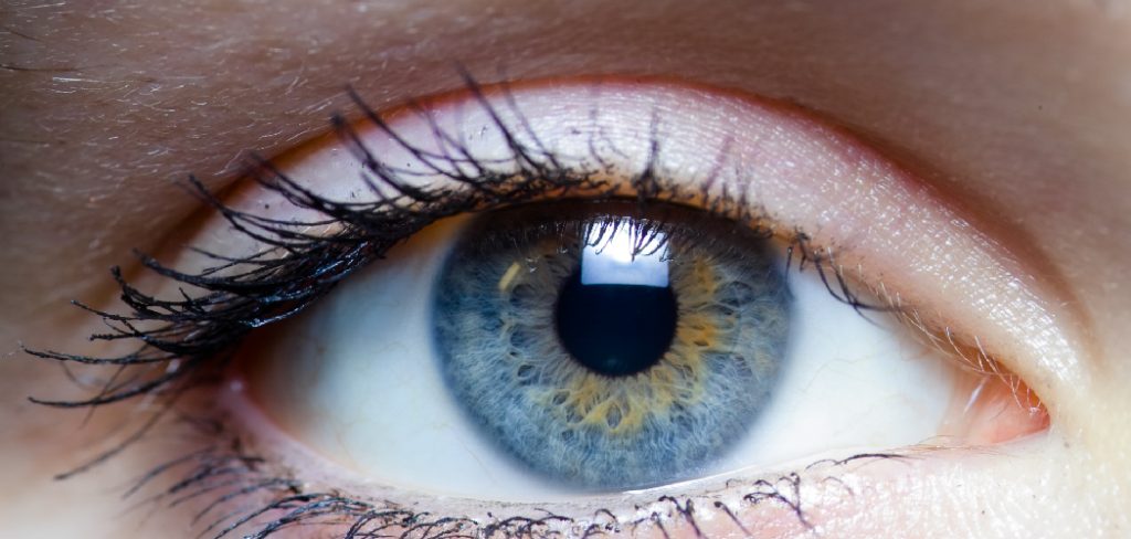 How to Clean False Eyelashes for Reuse