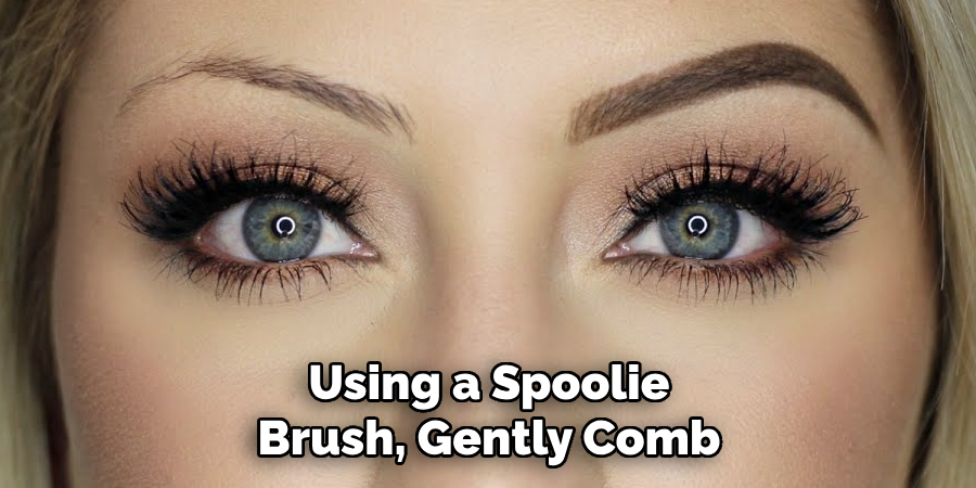 Using a Spoolie Brush, Gently Comb