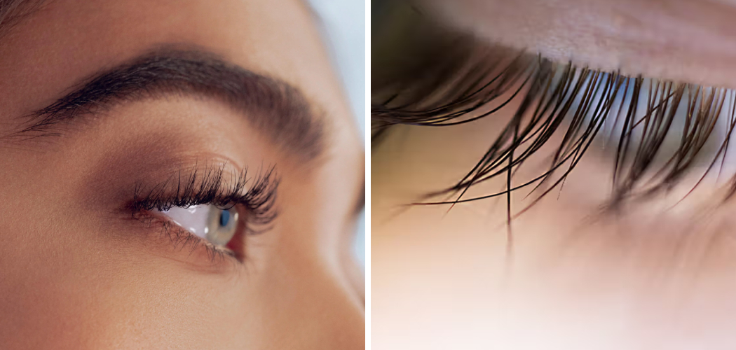 How to Grow Long Eyelashes
