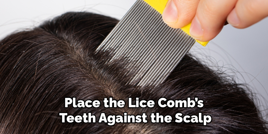 Place the Lice Comb’s
Teeth Against the Scalp