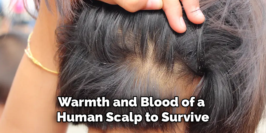 Warmth and Blood of a
Human Scalp to Survive