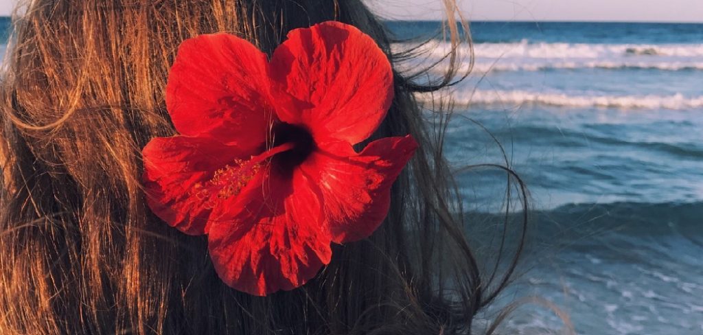 How to Use Hibiscus Flower for Hair