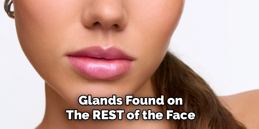 Glands Found on The REST of the Face