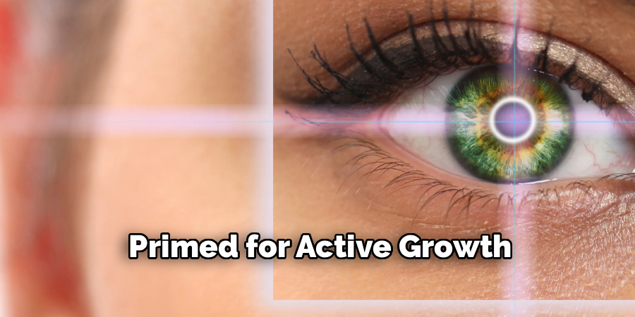 Primed for Active Growth