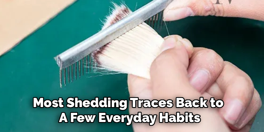 Most Shedding Traces Back to
A Few Everyday Habits